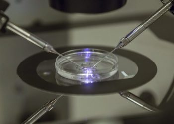 82 percent say IVF is morally acceptable: Gallup poll