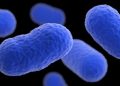 Nearly 10 million pounds of meat recalled due to listeria concerns