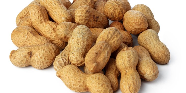 Seem like peanut allergies were once rare and now everyone has them?