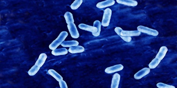 USDA names schools that may be affected by recall of 11.7 million pounds of meat and poultry over listeria concerns