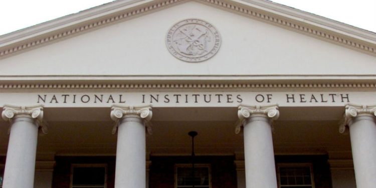 Trump administration halts NIH grant-making process