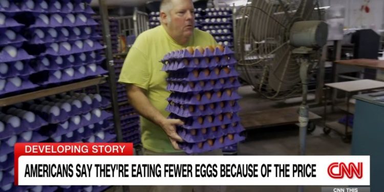 Could bird flu vaccines help tackle high egg prices? Experts say it’s not so simple