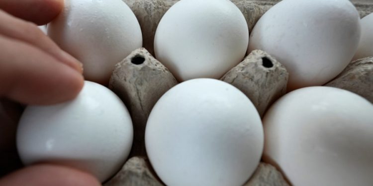 Trump moves hamper bird flu response as egg prices spike 